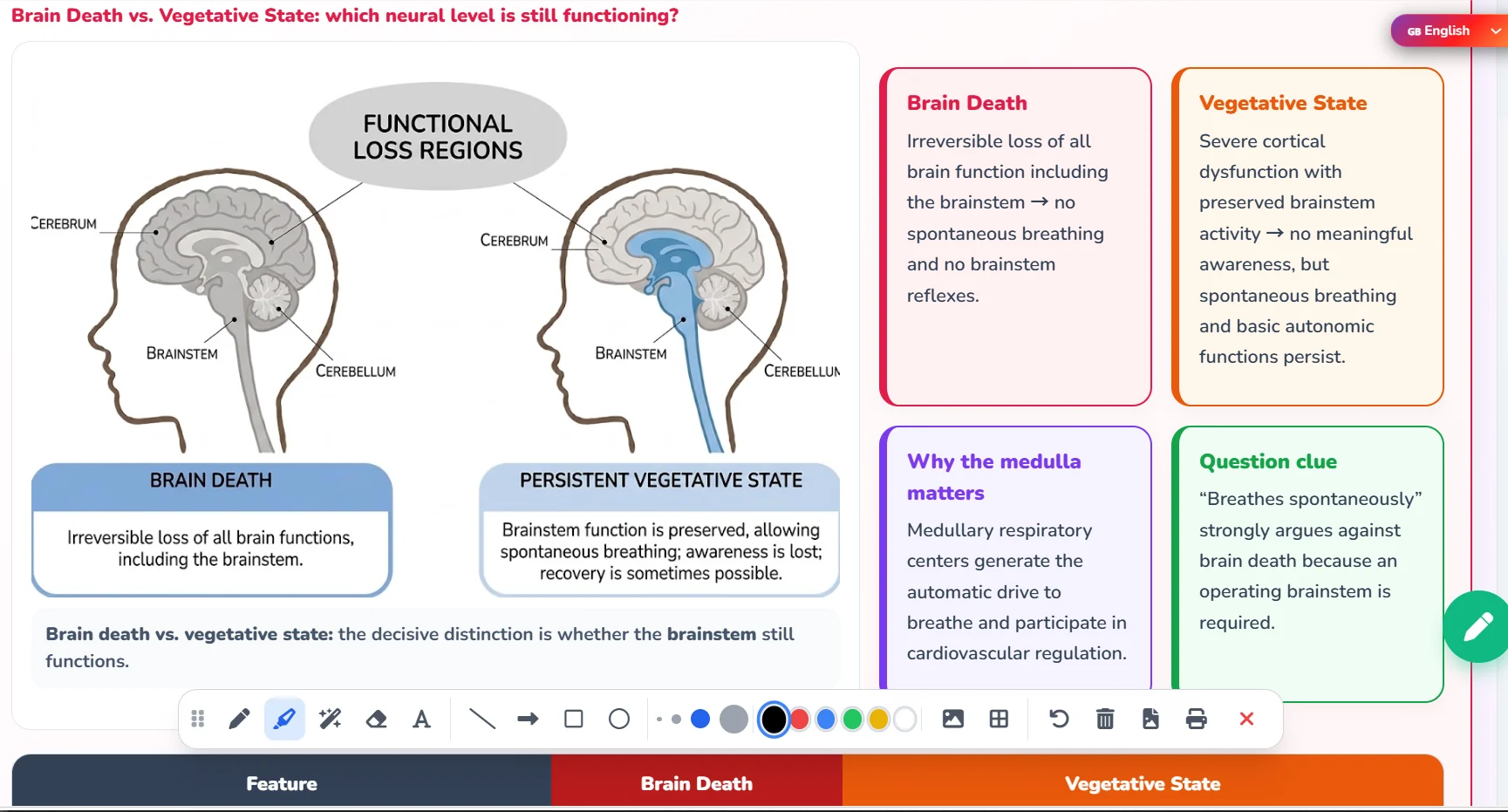 Meditaliano Science Hub section-by-section video guides and syllabus
