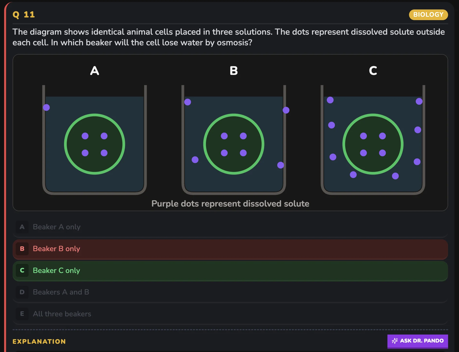 Meditaliano IMAT mock-exam interface