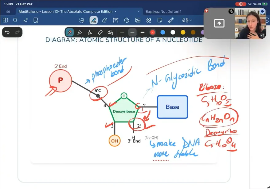 Isil teaching DNA structure in the seven-month biology group class